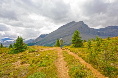 bir dağ geçidinde fiyatı