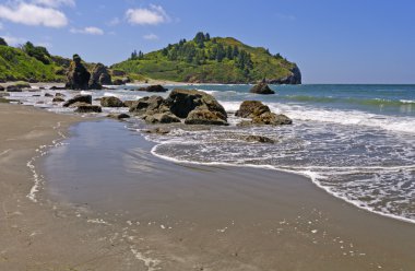 güneşli okyanus plaj