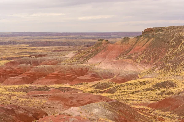 Red Desert on a Cloudy Day — Stock Photo, Image