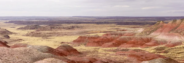 Czerwona pustynia panorama w pochmurny dzień — Zdjęcie stockowe