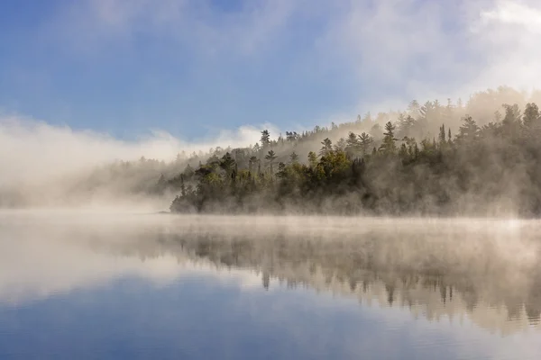 Nevoeiro e Reflexões na Floresta do Norte — Fotografia de Stock