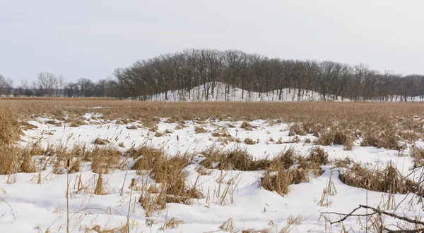 Palude e colline ghiacciate in inverno — Foto Stock