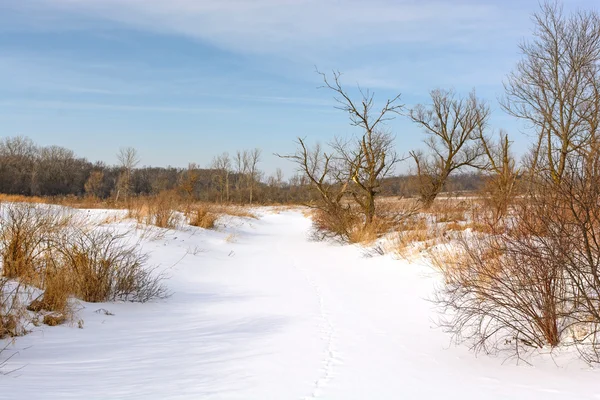 雪覆われた大草原の小川 — ストック写真