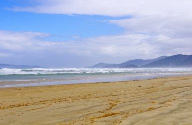 sis ve uzak bir plaj dalgalar