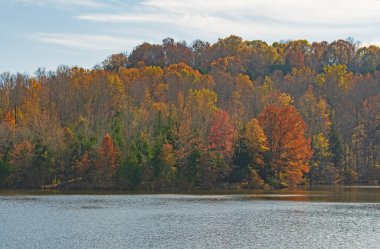 Illinois 'deki Ferne Clyffe Eyalet Parkı' ndaki Uzak Göl 'deki Parlak Sonbahar Renkleri