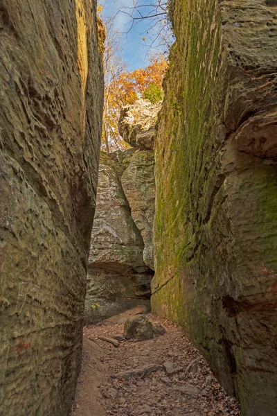 Smalle Pathway Een Sandstone Canyon Giant City State Park Illinois — Stockfoto
