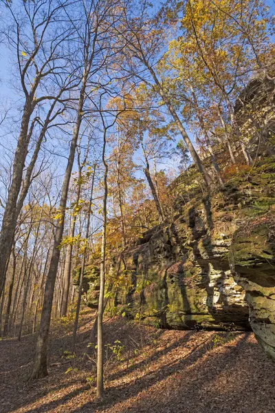 Los Acantilados Boscosos Otoño Ferne Clyffe State Park Illinois —  Fotos de Stock