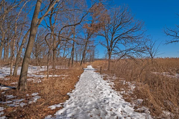 Frozen Trail Amidst Savannah Crab Tree Nature Preserve Illinois — Stock Photo, Image