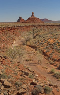 Utah 'taki Tanrılar Vadisi' ndeki Kızıl Çölde Kuru Yıkama.