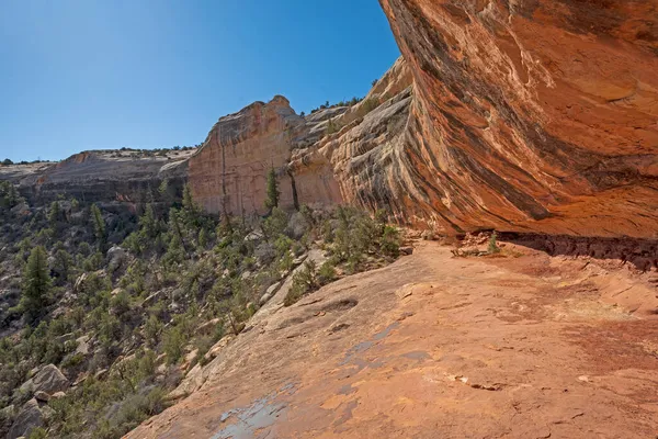 Kleurrijke Zandsteen Rand Woestijn Natuurlijke Bruggen Nationaal Monument Utah — Stockfoto