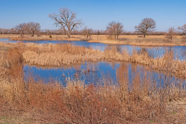 Vloedvlakte Wetlands Langs Platte Rivier Bij Kearney Nebraska — Stockfoto