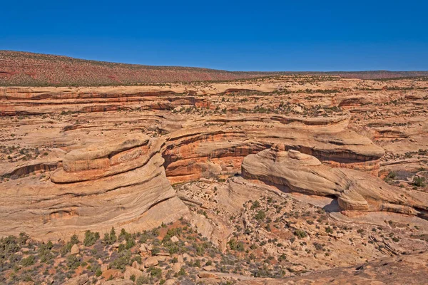 Desert Canyon Coupé Par Ruisseau Caché Dans Parc National Des — Photo