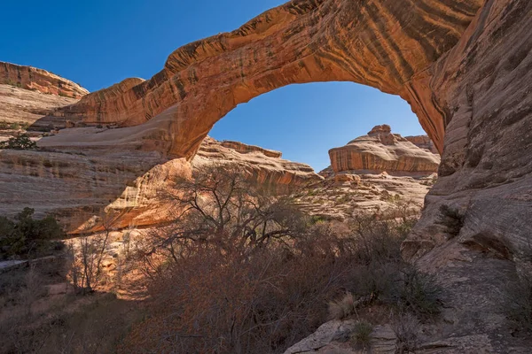 Utah Taki Doğal Köprüdeki Doğal Köprüden Sabah Görüşleri Ulusal Anıtı — Stok fotoğraf