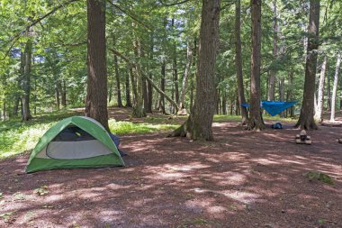 Kuzey Ormanı 'ndaki Wilderness Kampı. Eğri Göl kıyısında. Michigan' daki Sylvania Wilderness 'da.