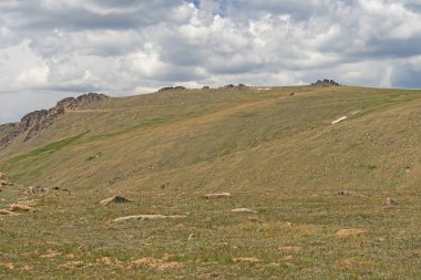 Colorado 'daki Rocky Dağı Ulusal Parkı' nda, Alp Tundra 'da Ağaç Çizgisi' nin üstünde.