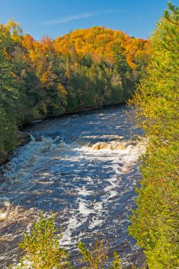 Michigan 'daki Piers Gorge Patikası' ndaki Sonbahar Ormanı 'nda Kükreyen Şelale