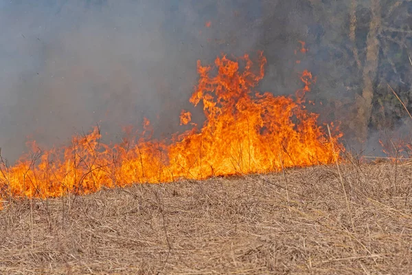 Roaring Flames Burning Prairie Spring Valley Nature Center Illinois — Stock Photo, Image