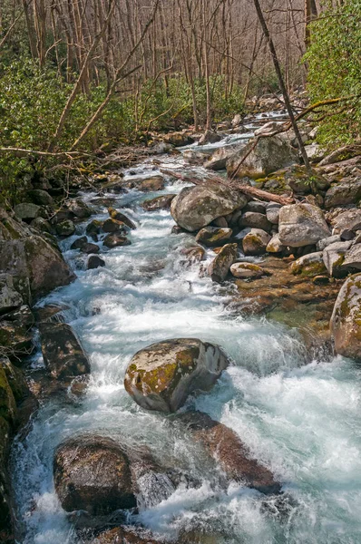 Rycząca Rzeka Wiosennym Słońcu Wielkich Smoky Mountains Północnej Karolinie — Zdjęcie stockowe