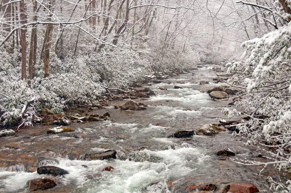 Spring Snow Een Mountain Stream Big Creek Great Smoky Mountains — Stockfoto