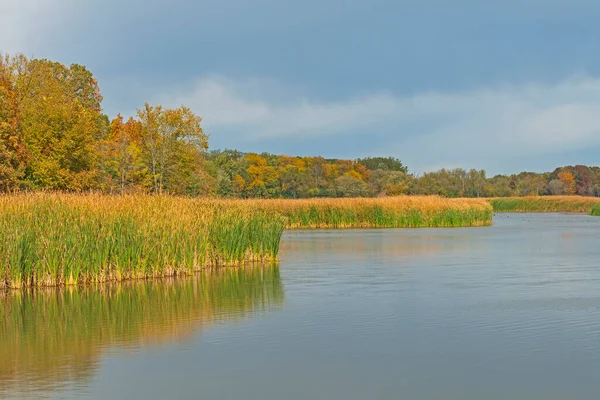 Herfst Kleuren Een Rustig Wetland Ned Brown Preserve Illinois — Stockfoto