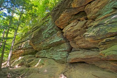 Ohio 'daki Cuyahoga Vadisi Milli Parkı' nda Gölgeli Yol