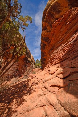 Utah 'taki Kanyonlar Arasında Kanyonlar Arasındaki Dar Yol Kanyonlar Ulusal Parkı