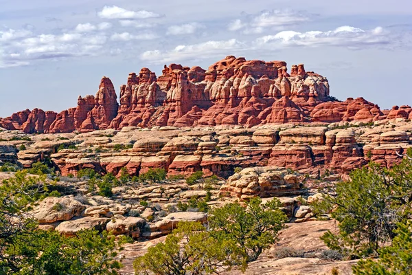 Zmieszane Igły Południowym Zachodzie Pustyni Parku Narodowym Canyonlands Utah — Zdjęcie stockowe