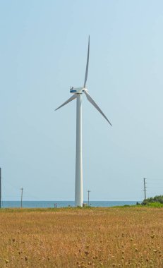 Kanada 'da Prens Edward Adası' nda Kuzey Burnu 'nda bir sahil ovasında Rüzgar Türbini