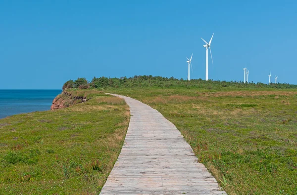 Wind Farm Coatal Boardwalk North Cape Trail Prince Edward Island — Stock Photo, Image