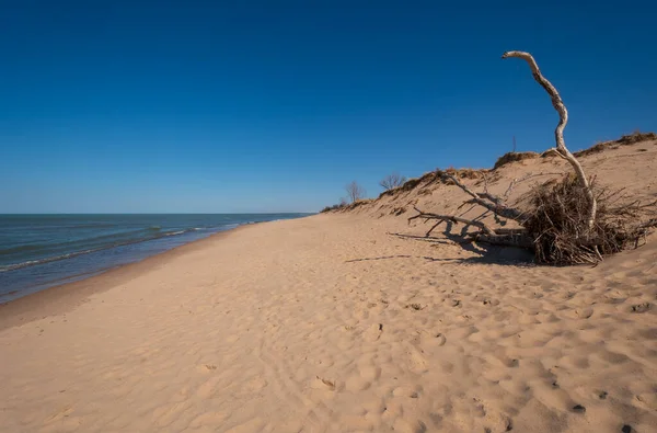 Desolate Beach Remote Lakeshore Indiana Dunes National Park Indiana — ストック写真