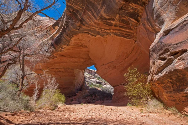 Looking Kachina Bridge Desert Natural Bridges National Monument Utah — Stok fotoğraf