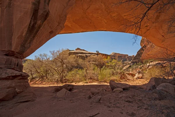 Mirando Hacia Desierto Desde Debajo Puente Natural Puente Kachina Puentes — Foto de Stock