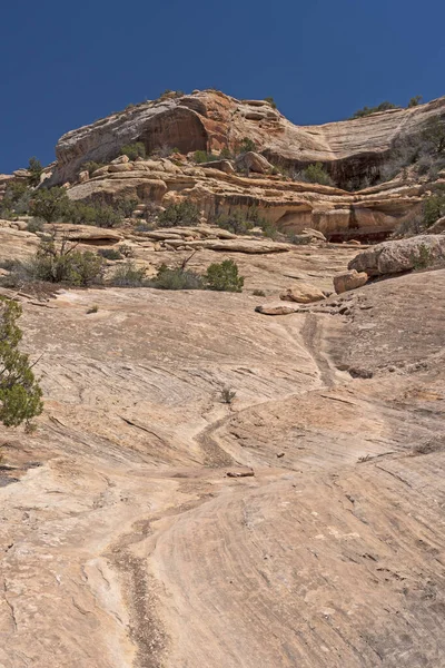 Rocky Wash Coming Sandstone Cliff Natural Bridges National Monument Utah — Stock fotografie