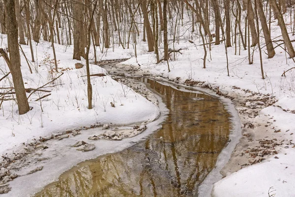 Quiet Stream Wending Its Way Winter Forest Starved Rock State — Stock Photo, Image