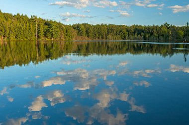 Michigan 'daki Sylvania Wilderness' da Dağ Gölü 'nde Sakin Göl Yansımaları