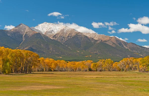 Colorado Fairplay Yakınlarında Dağ Çayırı Sonbaharda — Stok fotoğraf