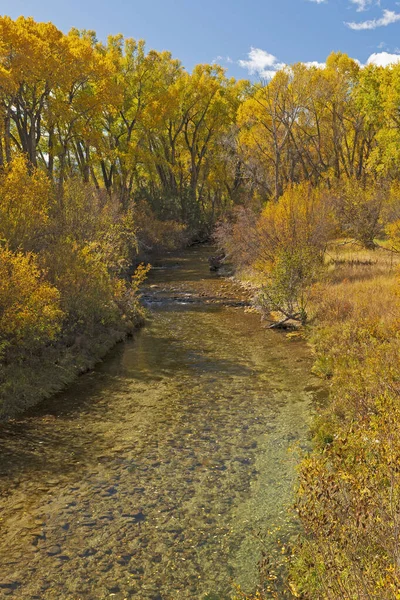 Mountain Stream Autumn Colors Nathrop Colorado — Stock Photo, Image