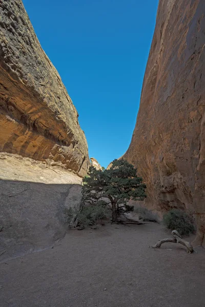 Zon Schaduw Een Smalle Woestijn Canyon Arches National Park Utah — Stockfoto