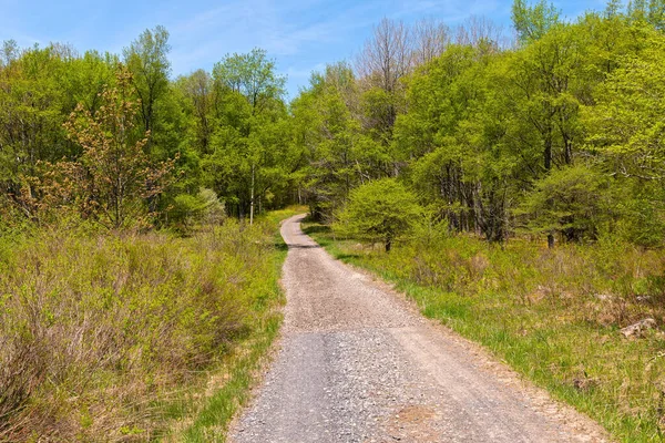 Landsvägen Canaan Valley National Wildlife Refuge Nära Davis West Virginia — Stockfoto