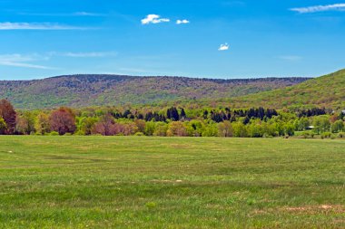 Batı Virginia Counryside in the Spring Yakındaki Davis, West Virginia