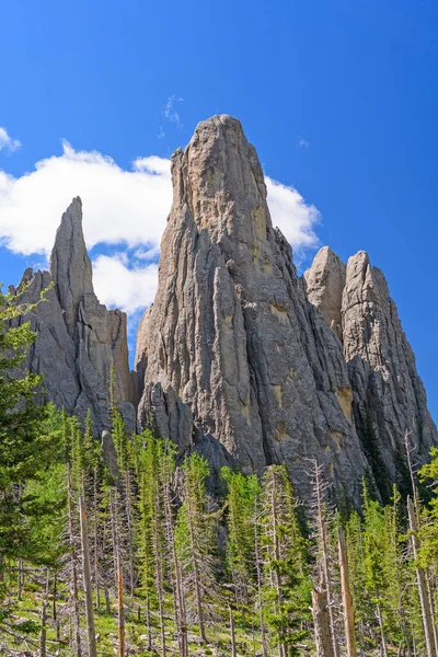 Granit Monoliter Jutting Out Ground Black Hills Custer State Park — Stockfoto