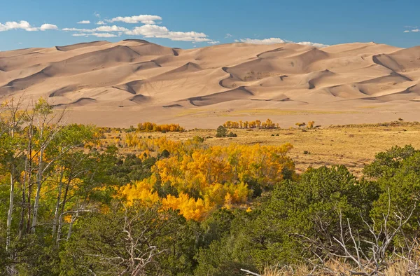 コロラド州のグレート サンド 砂丘国立公園の秋の森の上に昇る大砂丘 — ストック写真
