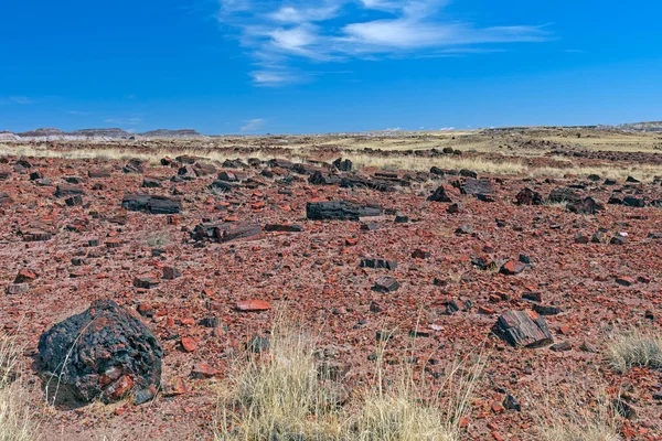 アリゾナ州のペトリファイドフォレスト国立公園の砂漠の平原にあるペトリファイドツリー破片 — ストック写真