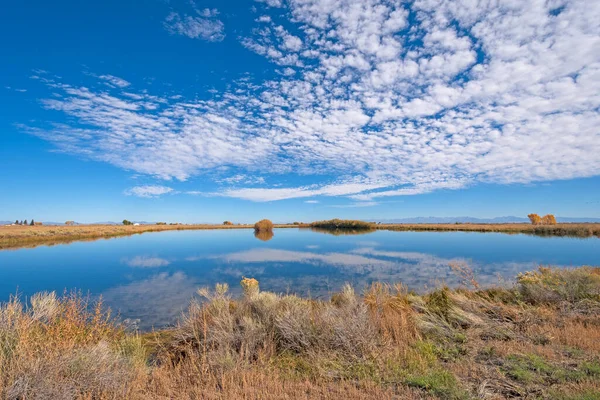 High Clouds Serene Wetland Pond Monte Vista National Wildlife Refuge — ストック写真