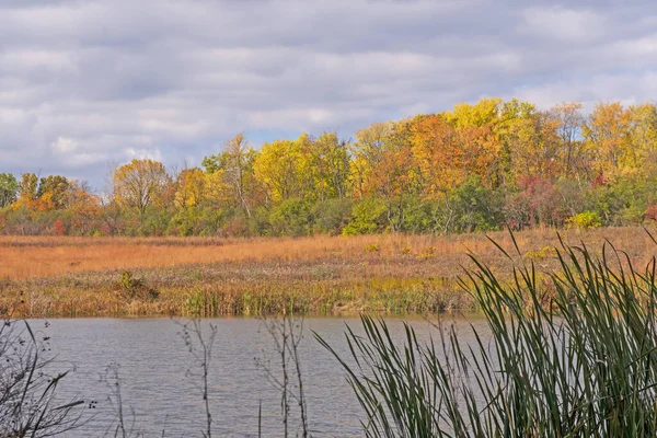 Autumn Colors Wetland Pond Crabtree Nature Preserve Illinois — стокове фото