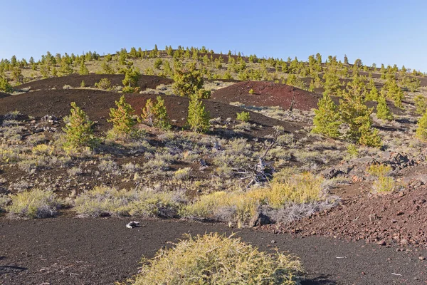 Vegetation Slowly Overgrowing Volcanic Landscape Craters Moon National Monument Idaho — ストック写真