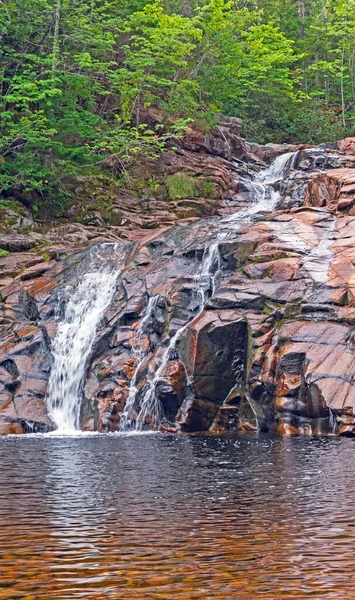 Quiet Mary Ann Falls Forest Cape Breton Highalnds National Park — Stock Photo, Image