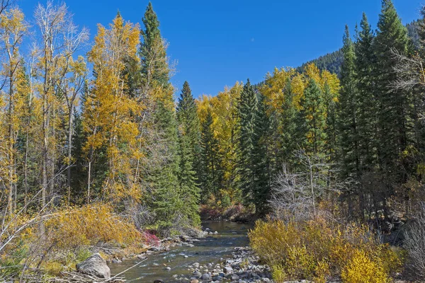 Fall Colors Rocky Mountain Stream Pagosa Springs Colorado — Stock Photo, Image