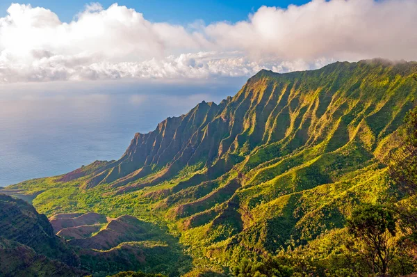 Kauai Deki Kalalau Vadisi Ndeki Tropikal Vadi Akşam Işığı — Stok fotoğraf