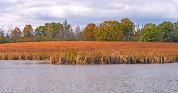 Wetland Prairie Herfst Kleuren Crabtree Natuurreservaat Illinois — Stockfoto